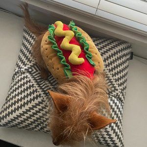 Thrills & Chills Hot Dog Pet Costume